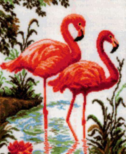 Схема вышивки фламинго